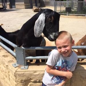 Meet your Posher, Misty